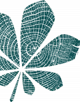 Ein grünes, fünfteiliges Blatt mit einer Holzmaserung und einem Muster auf schwarzem Hintergrund.