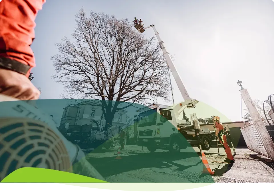 Zwei Arbeiter in Schutzkleidung schneiden an einem sonnigen Tag mit einem Gabelstapler Äste von einem hohen Baum ab, während eine weitere Person vom Boden aus zusieht. Im Hintergrund sind ein Gebäude und ein Zaun zu sehen.