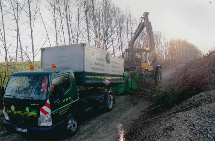 Ein grüner Lastwagen und eine Forstmaschine arbeiten auf einem unbefestigten Weg in der Nähe von blattlosen Bäumen; der Lastwagen ist mit Firmenlogos versehen, und die Maschine hebt oder bewegt abgeschnittene Äste. Im Hintergrund ist das Sonnenlicht zu sehen.